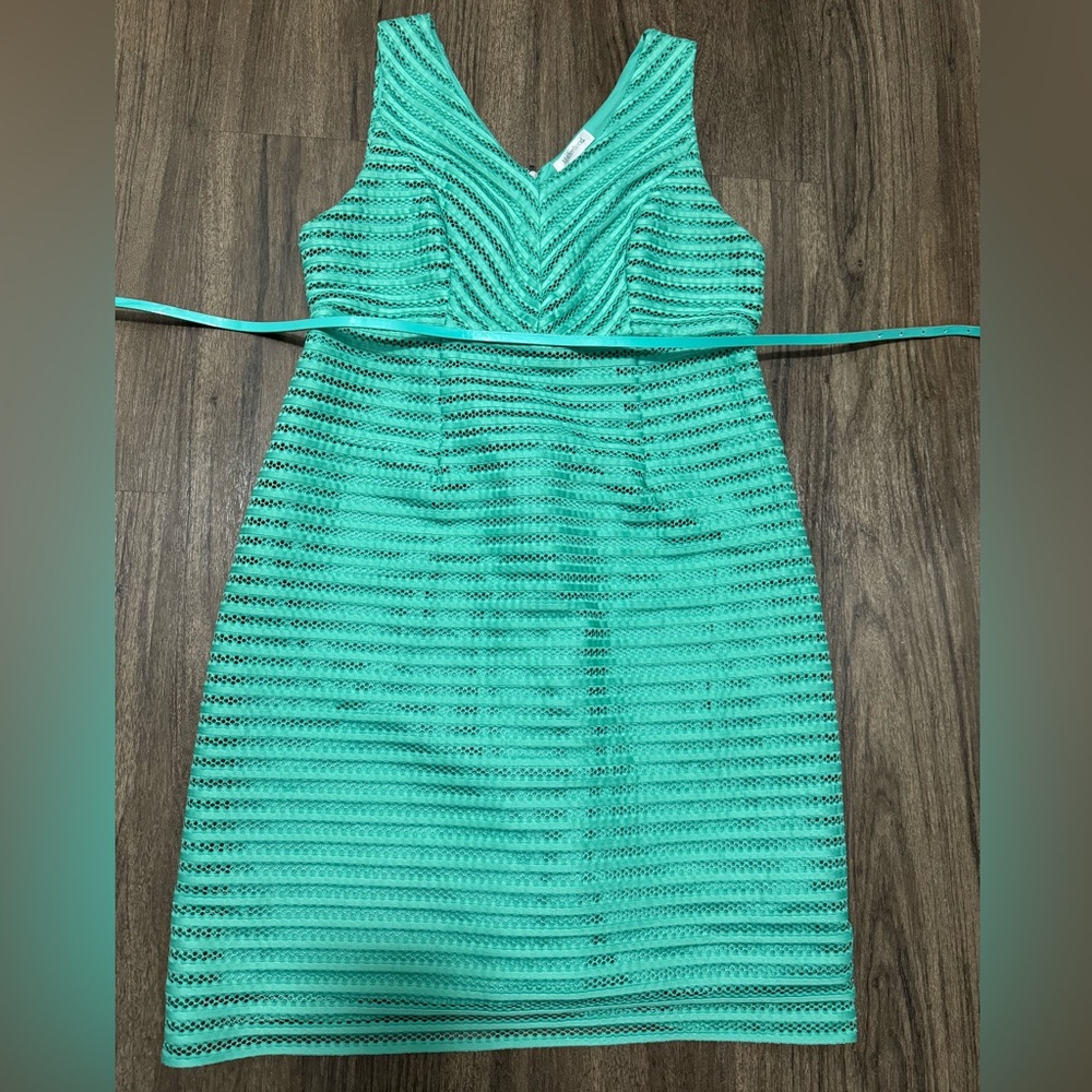 Motherhood maternity dress
